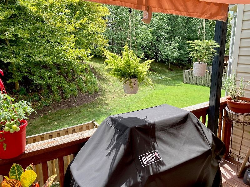 BBQ & side yard view