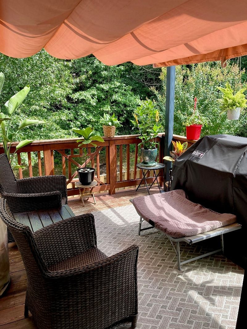Deck