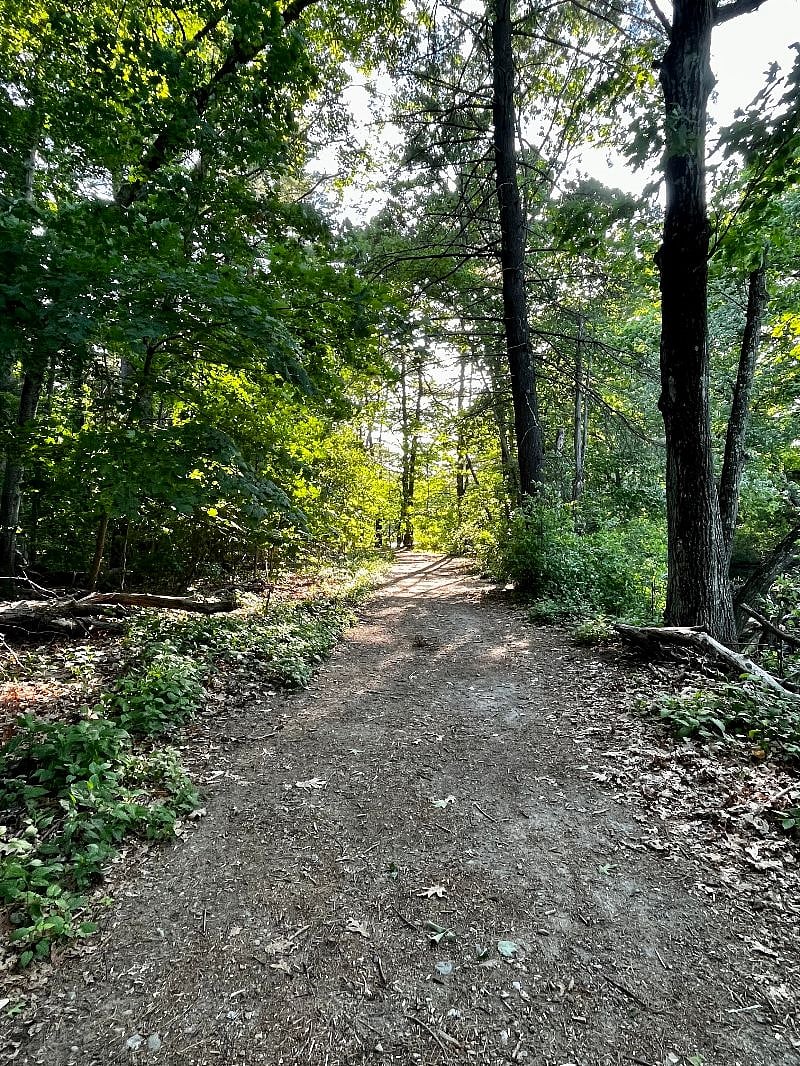 Hike the trails of Hunnewell Forest from our backyard access.