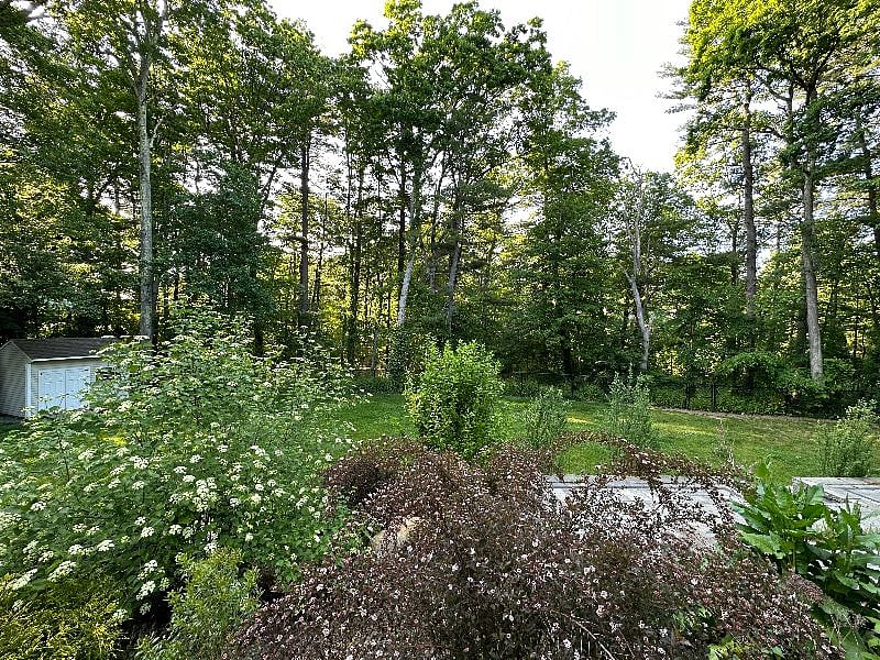 Yard view from apartment entrance.