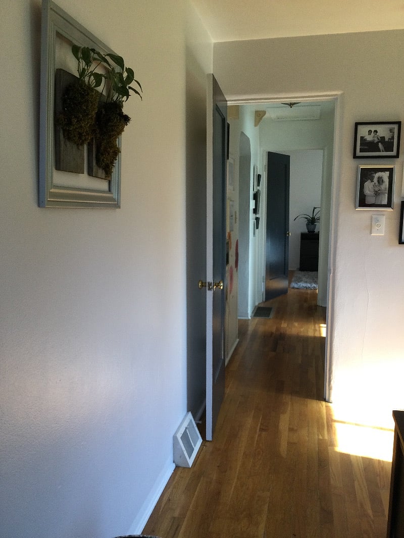 Furnished Finder property 529503_1 photo 14
