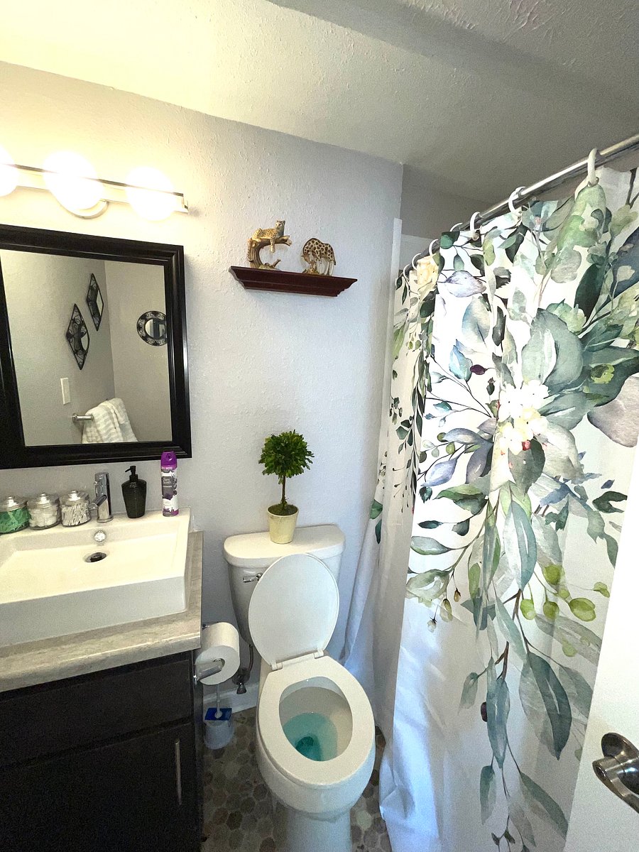 Furnished Finder property 529511_2 photo 5