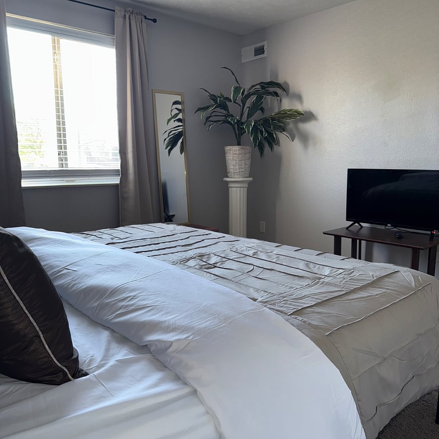 Furnished Finder property 529511_6 photo 7