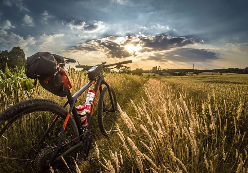 Fort Collins offers biking opportunities for all levels, including mountain biking, road cycling, and paved trails.