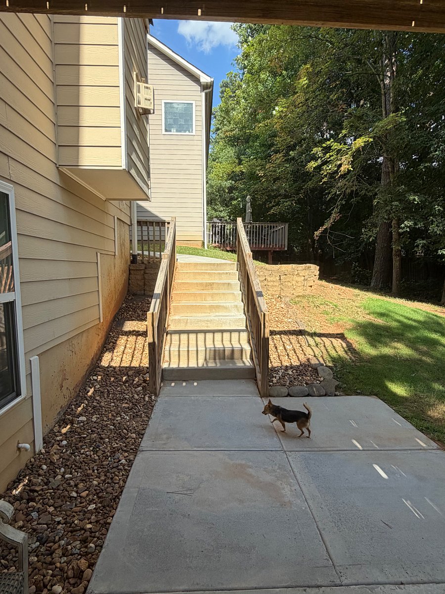 Furnished Finder property 529665_1 photo 26