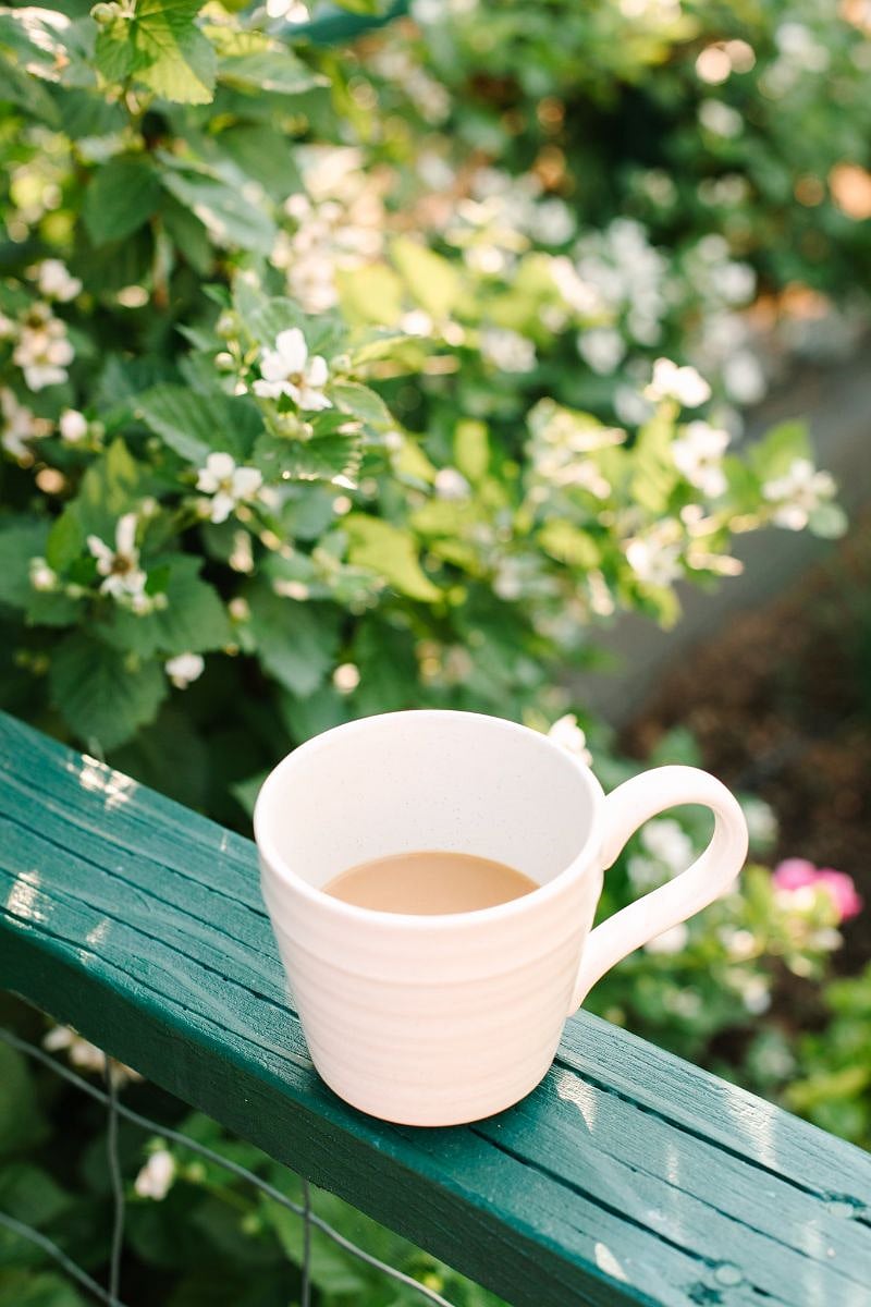 Coffee in the morning next to the kitchen garden