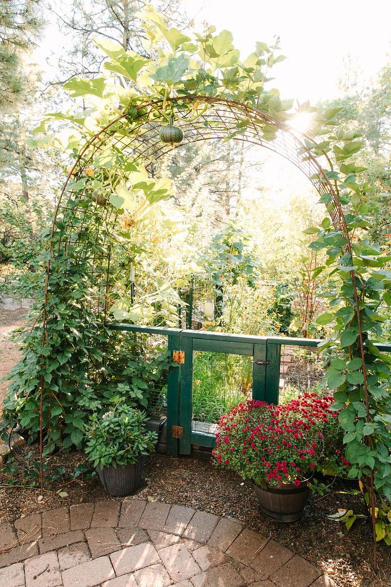 September - the kitchen garden
