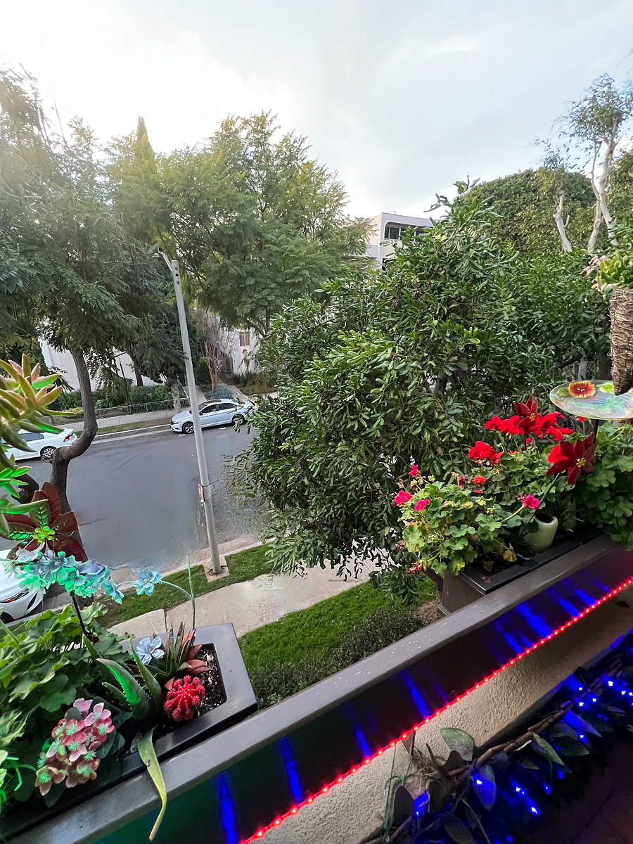 Furnished Finder property 530111_1 photo 47