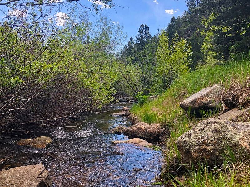 Ralston Creek