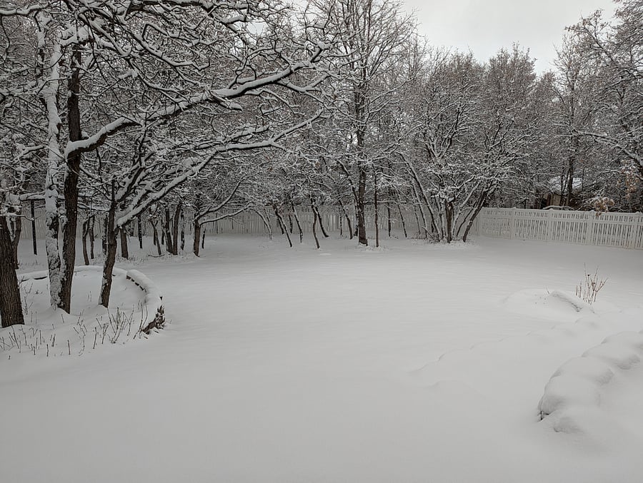 Back Yard Winter Time