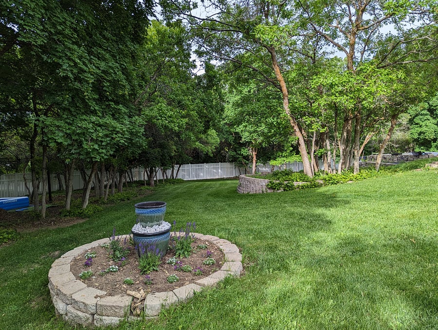 Back Yard Summer Time