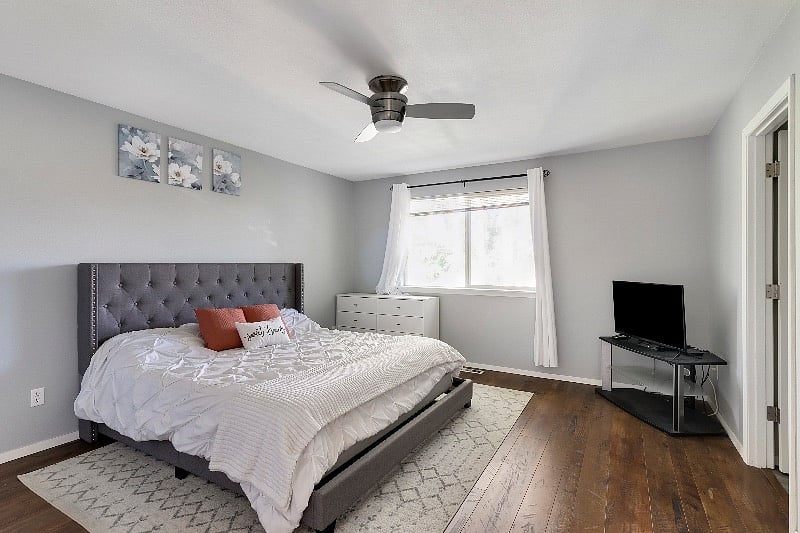 Furnished Finder property 530406_1 photo 14