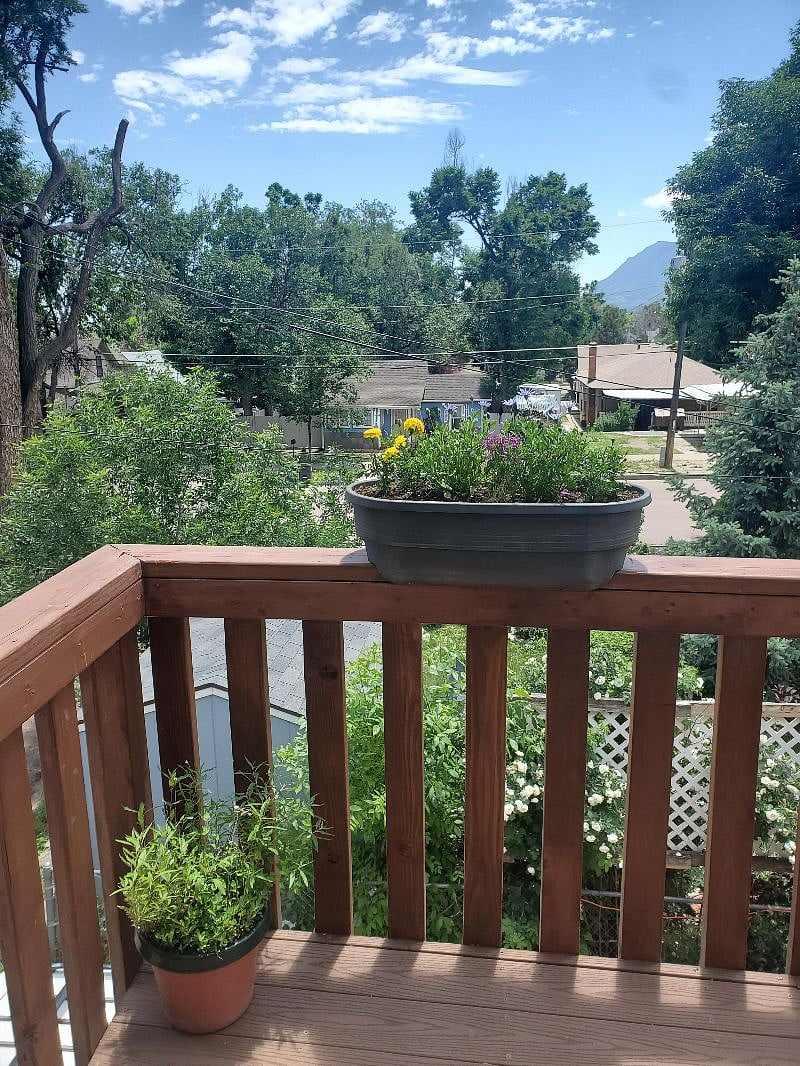 Furnished Finder property 530639_1 photo 16