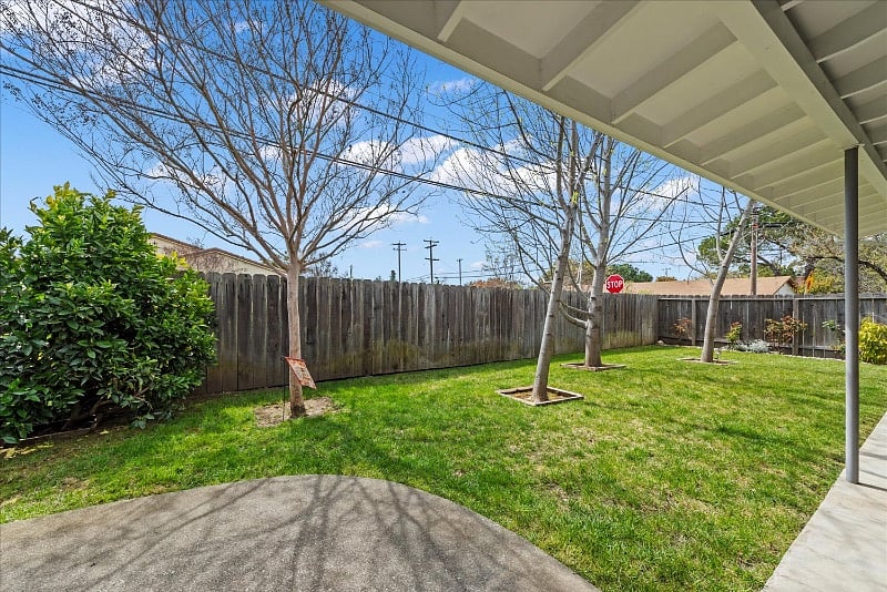 Lemon Trees, grass, and a few big trees for shade