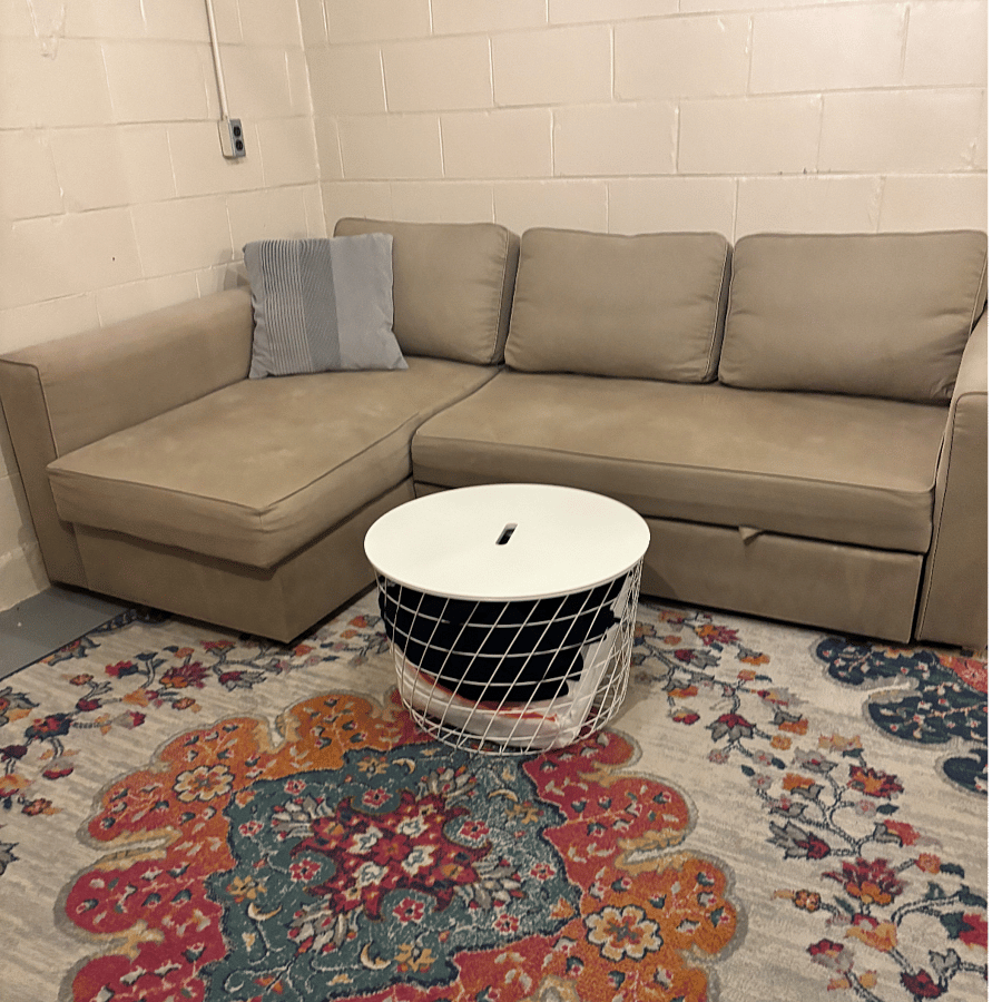 Full Sized Pull-Out Couch