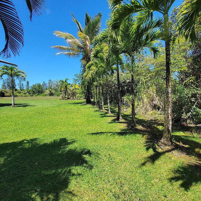 Furnished Finder property 530977_2 photo 11