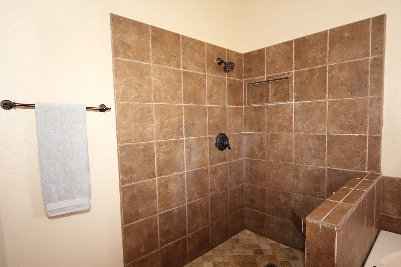 Master Bathroom Shower