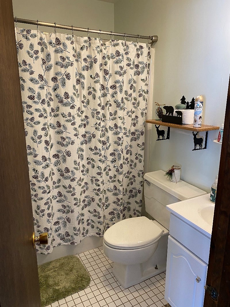 Tub/Shower large bath.
