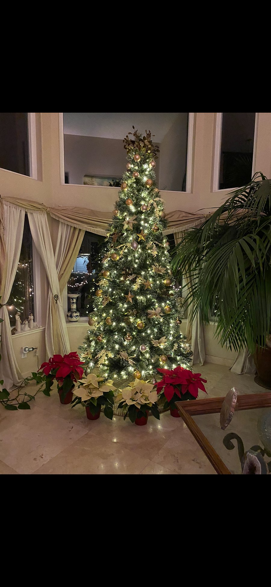 Furnished Finder property 531317_1 photo 11