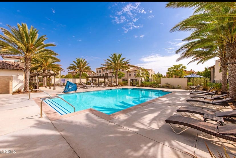 Furnished Finder property 531341_1 photo 17