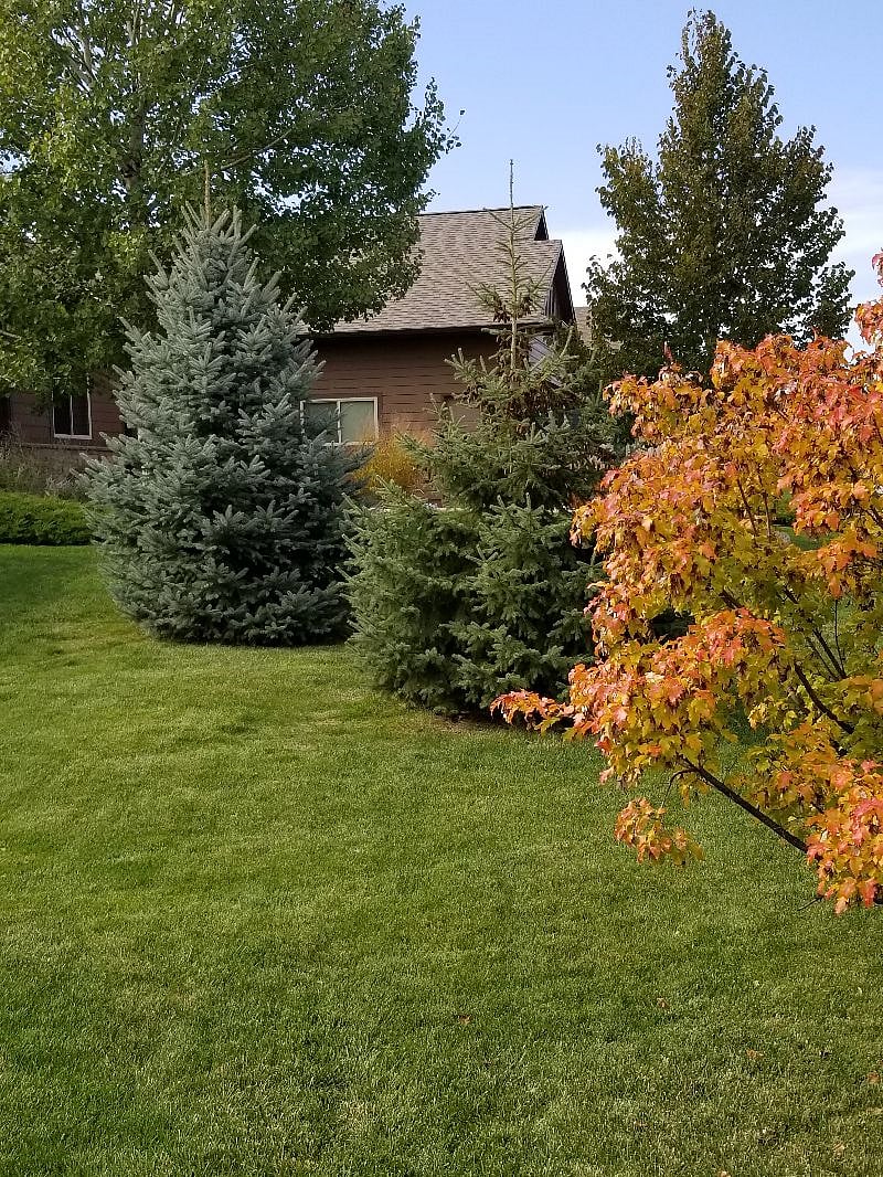 Furnished Finder property 531602_1 photo 8