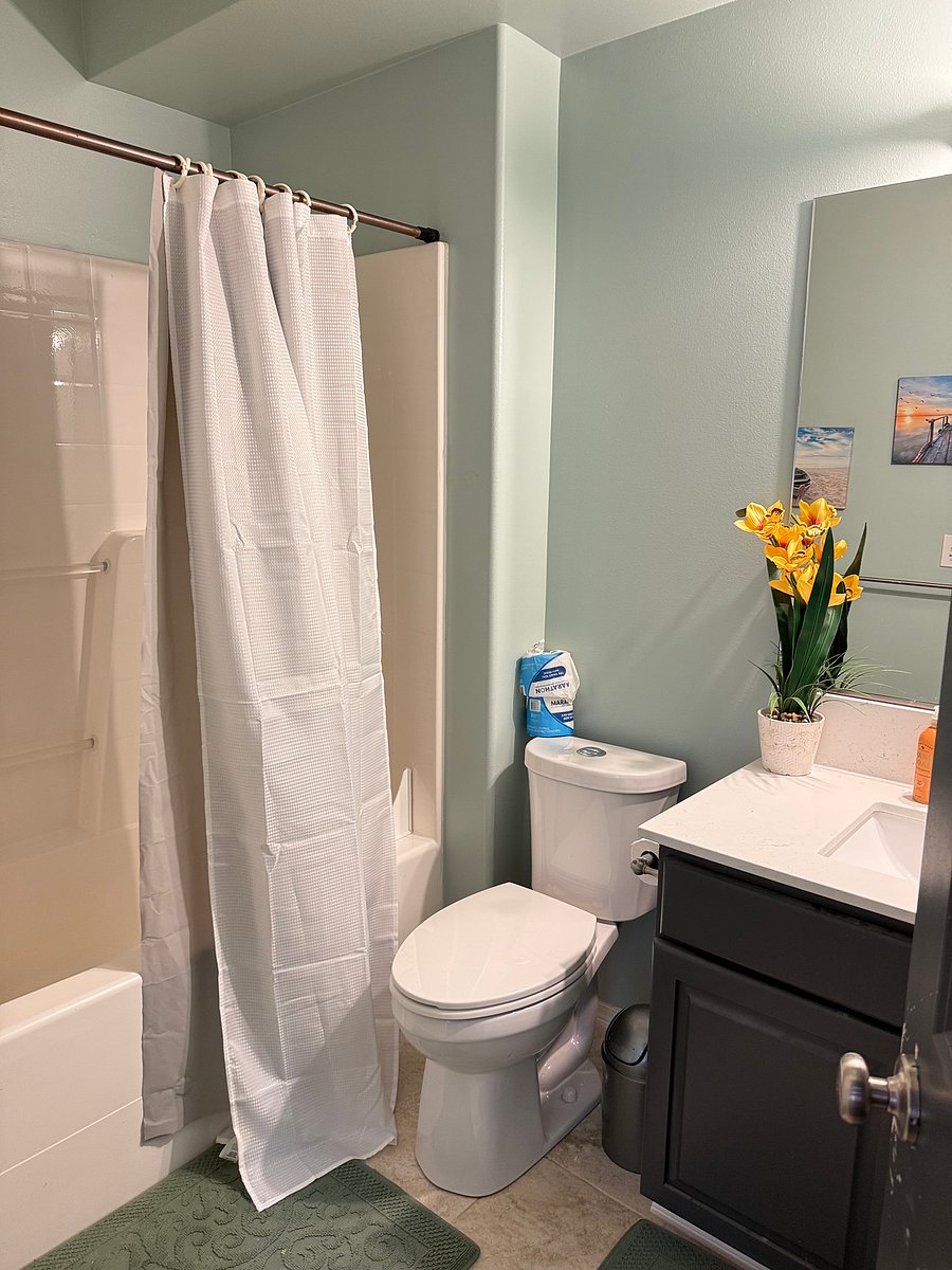 Furnished Finder property 531663_1 photo 14
