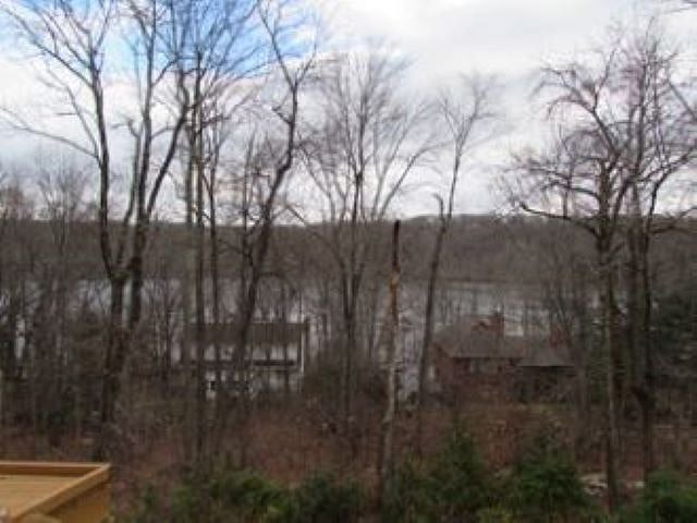 Lake view from back in fall. 