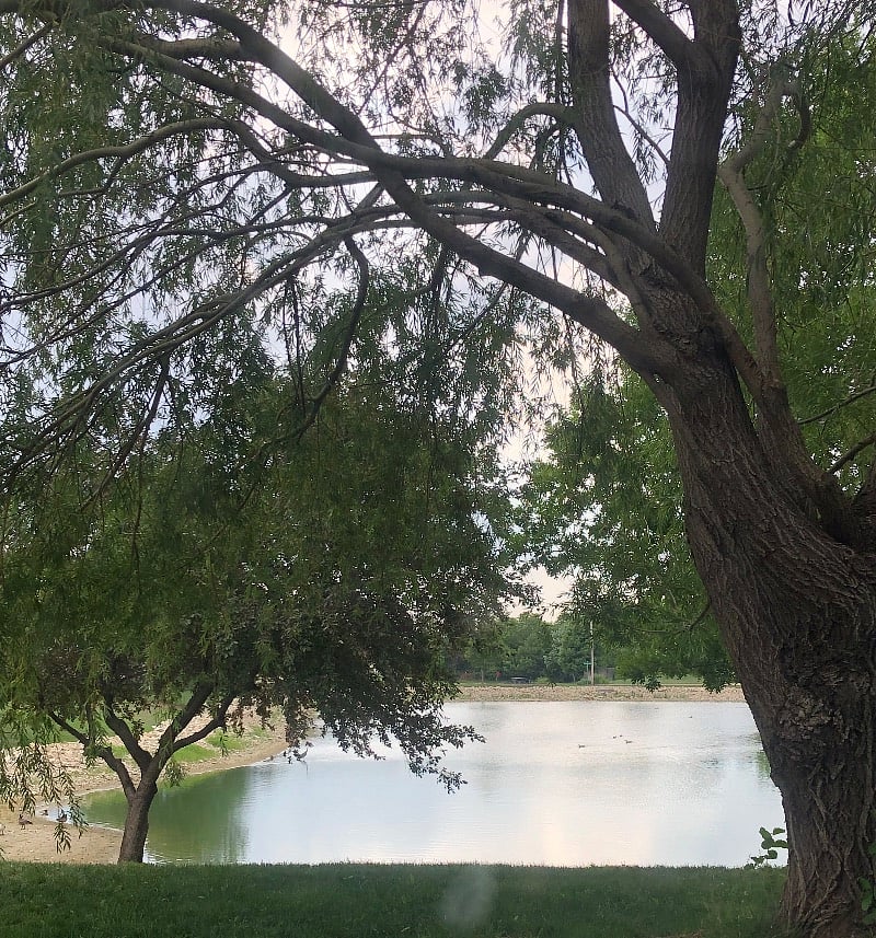 View from your bedroom.