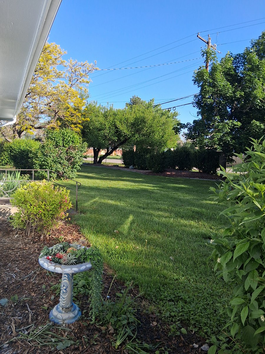 Furnished Finder property 531798_1 photo 3