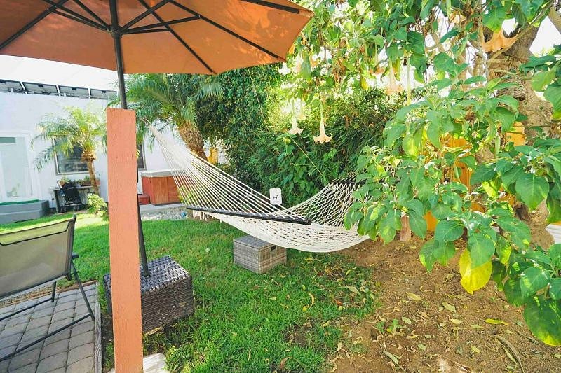 Lay in the hammock under the trumpet tree peaceful and relaxing. Also jump in the jacuzzi or grill on the BBQ