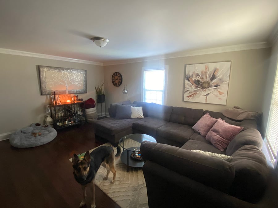 Furnished Finder property 531949_1 photo 4