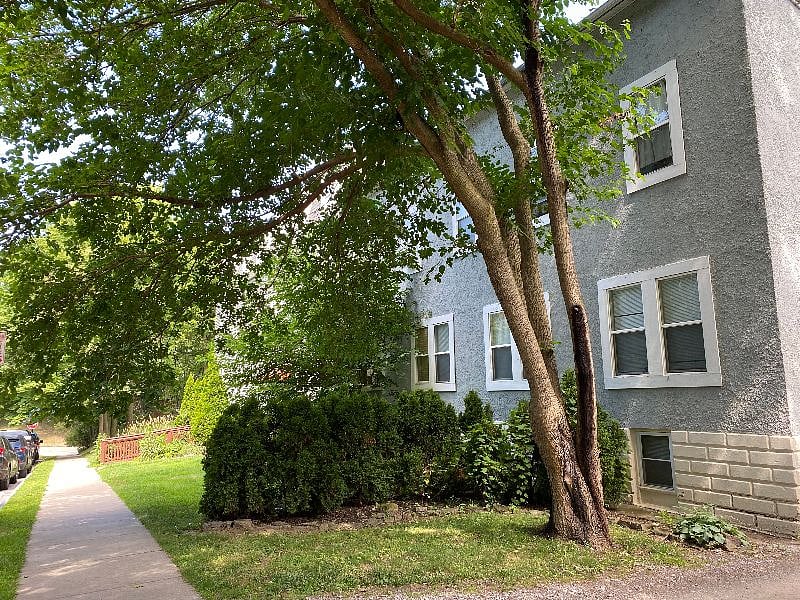Furnished Finder property 532165_1 photo 4