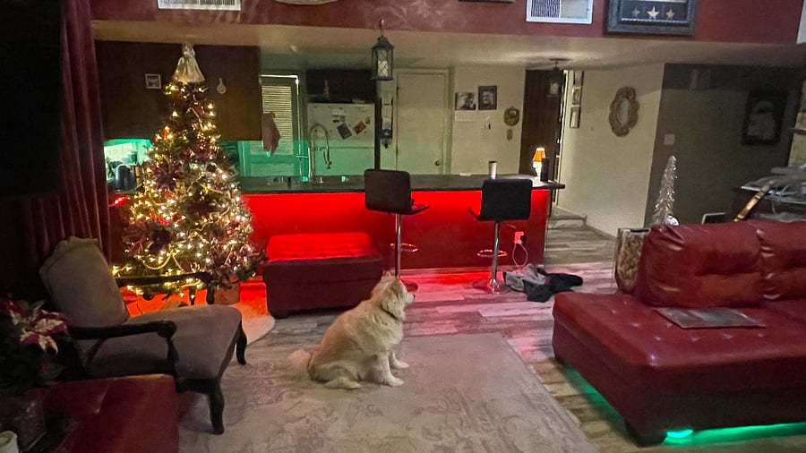 Furnished Finder property 532222_1 photo 9