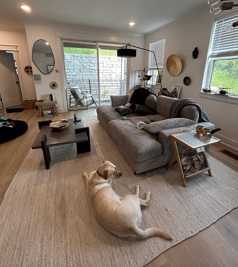 Furnished Finder property 532225_1 photo 15