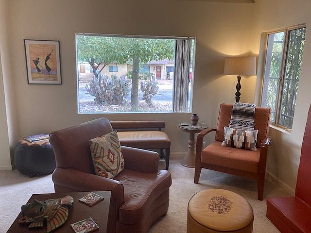 Furnished Finder property 532245_1 photo 17