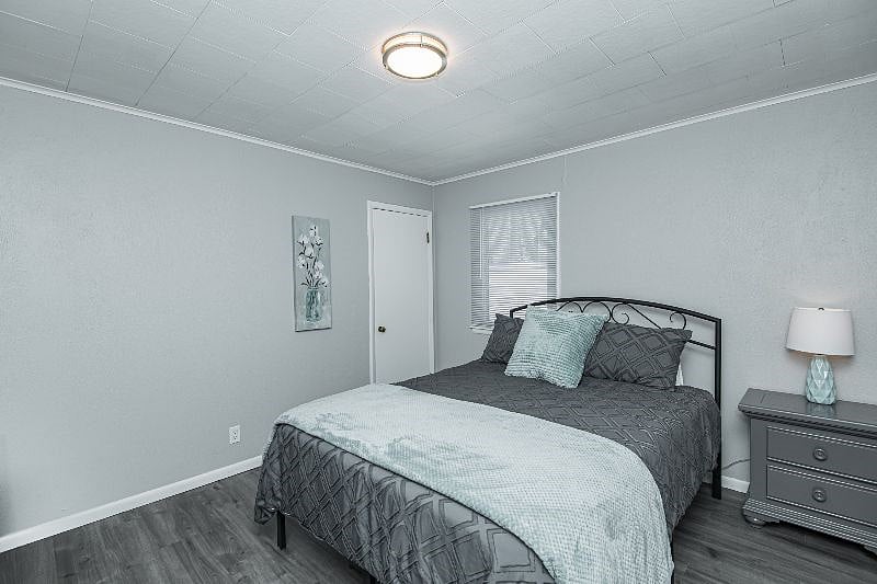 Furnished Finder property 532405_1 photo 15