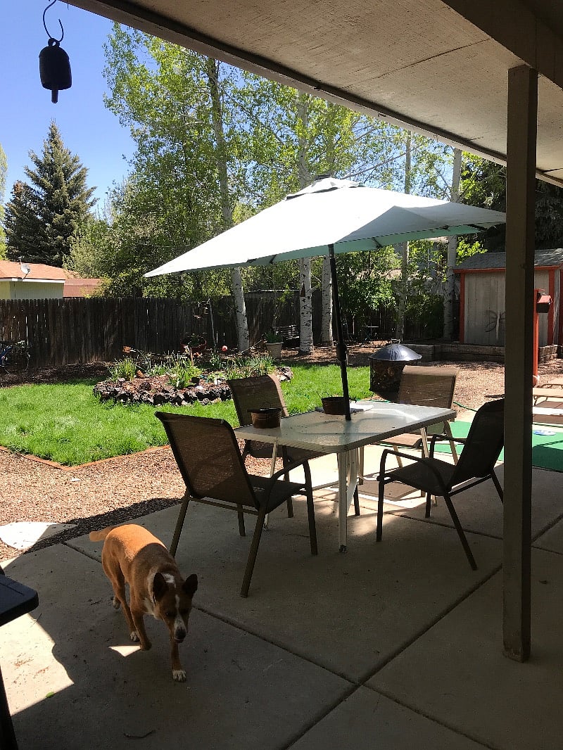 Furnished Finder property 532461_1 photo 10