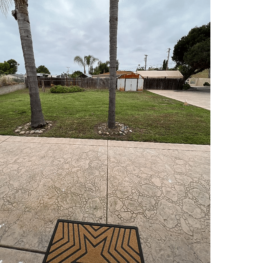 your view from the front yard. 