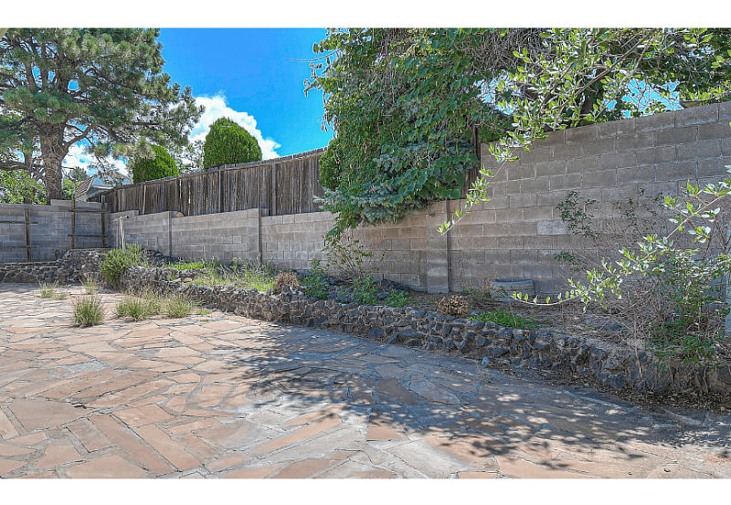 Fenced-in back yard
