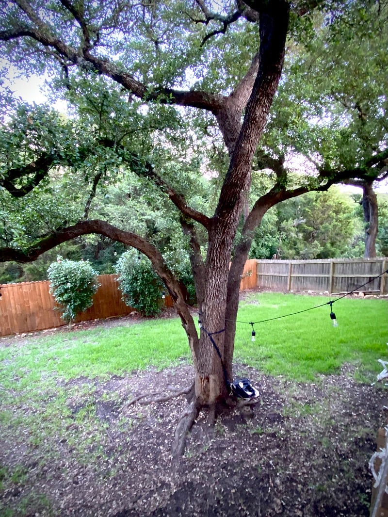 Furnished Finder property 532764_1 photo 45
