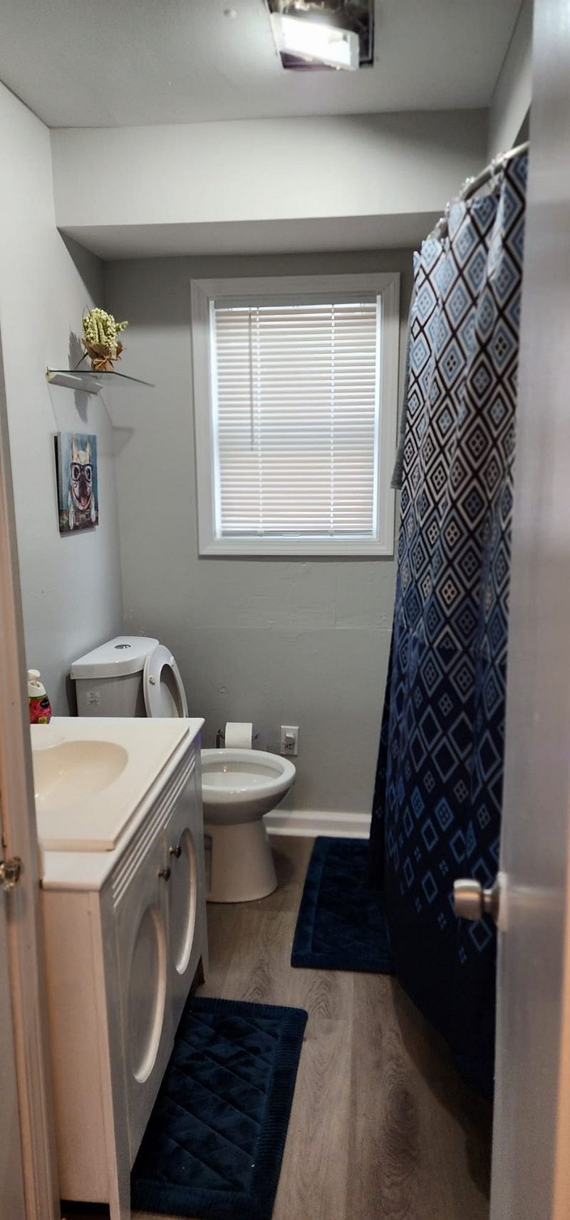 Furnished Finder property 533030_1 photo 18