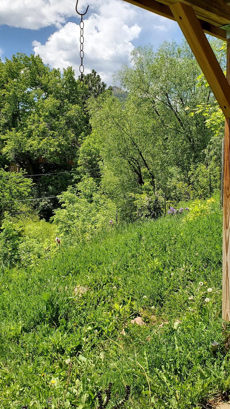 Large yard for relaxing in nature