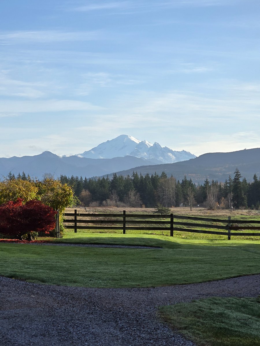 This is the beautiful Mt Baker. If you enjoy hiking and walking this is what you will be seeing while out and about.