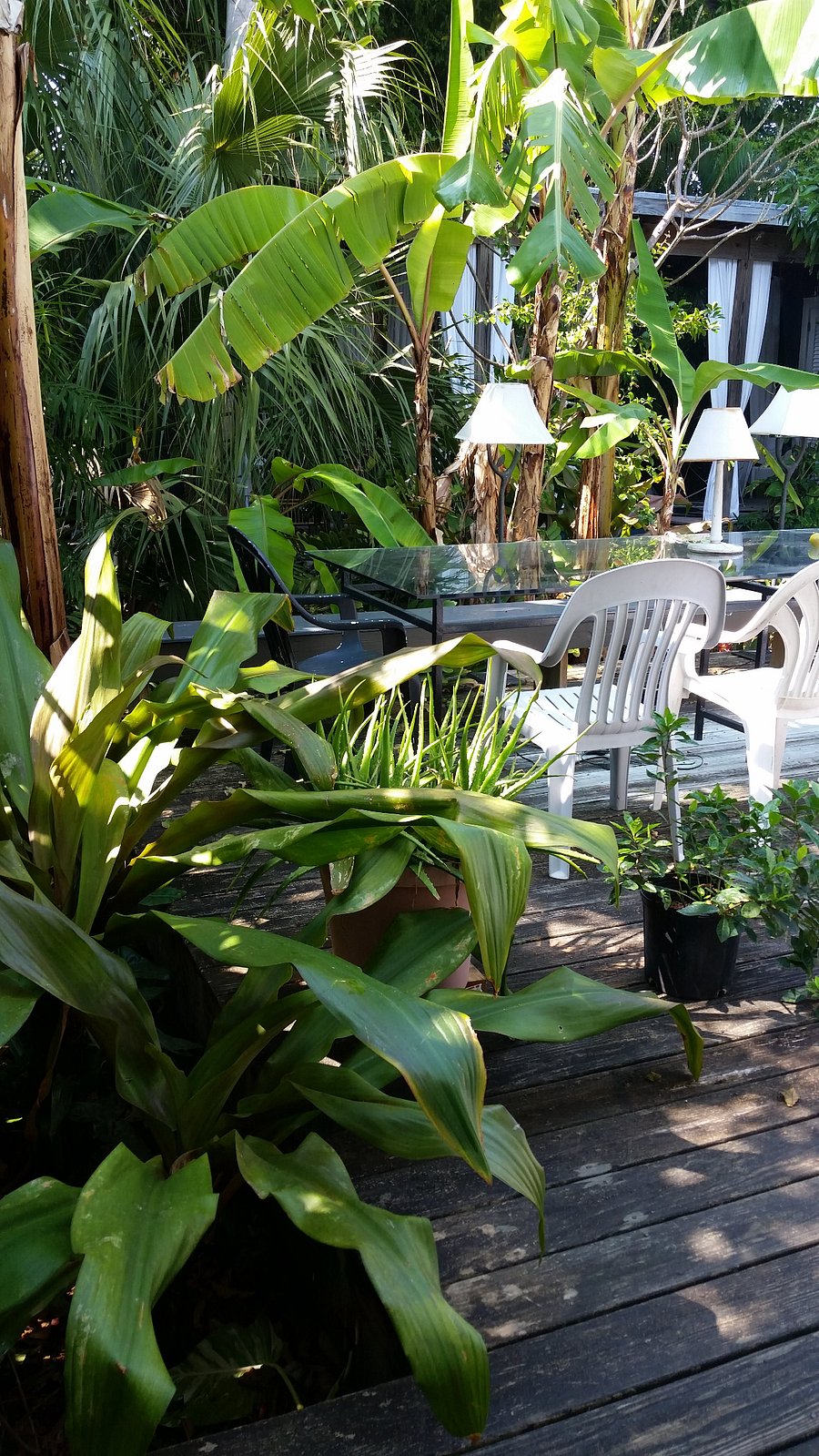 Garden Dining area