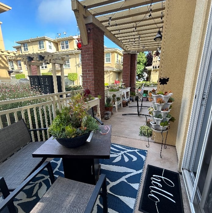 Patio includes lounge table and chairs, BBQ, gas fire pit, and lots of succulents