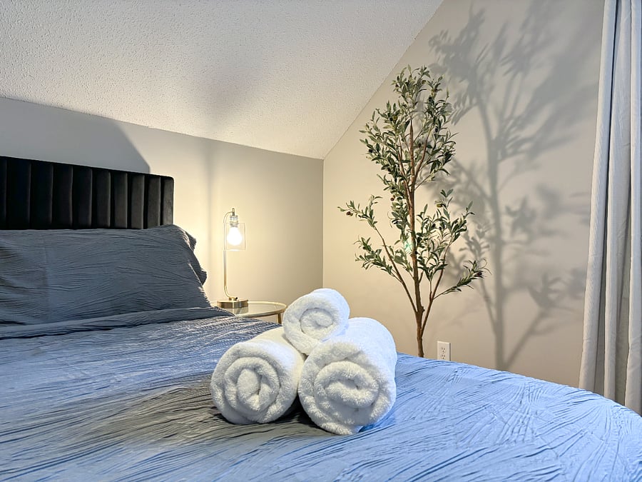 Furnished Finder property 533511_2 photo 9