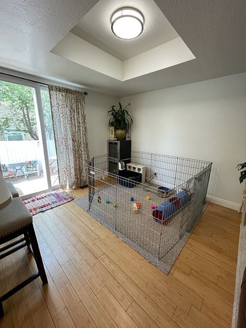 I have two rabbits, Penelope and Daffodil, who live inside. They stay in their pen unless they are exploring the garden. I keep their area very clean and tidy. They are sweet but shy bunnies.