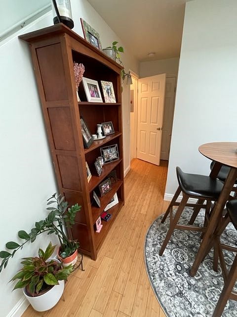 Hallway to the downstairs area. This door can be closed and it creates a lot of privacy for the separate downstairs space. The downstairs space has the bedroom for rent, guest room, full bathroom, and laundry room.