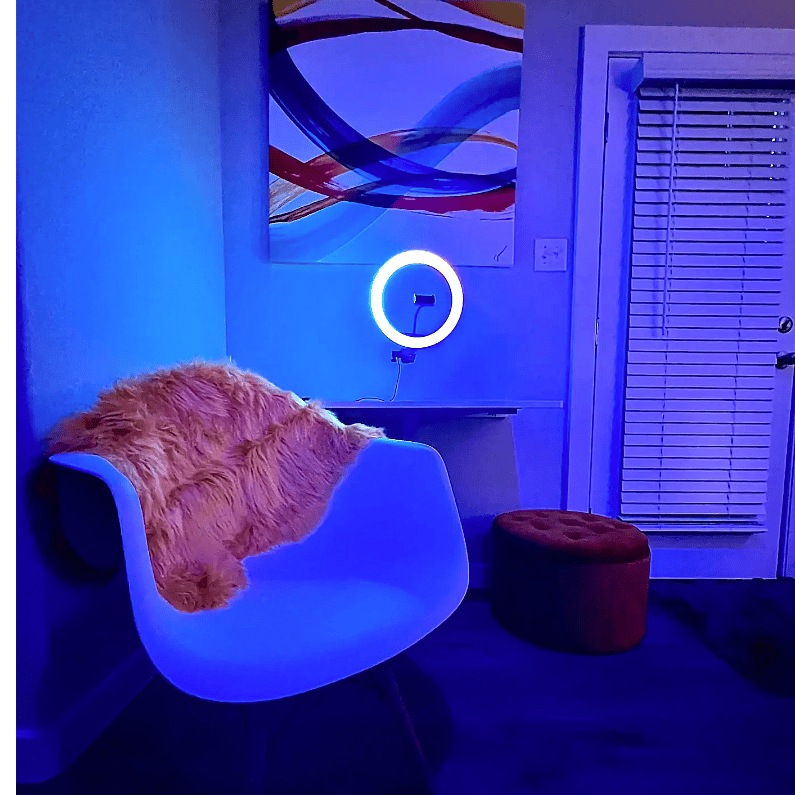 Shared workstation with streaming ring light and phone holder.