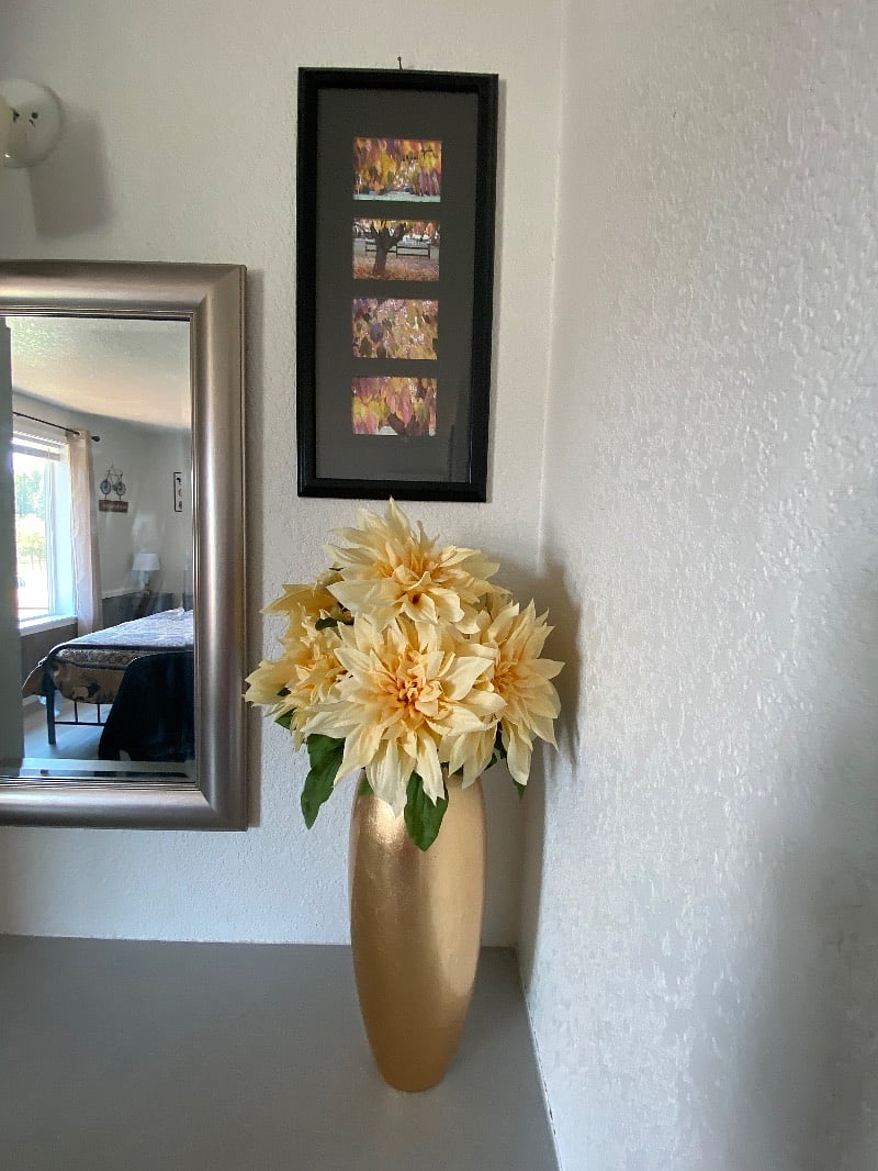Furnished Finder property 534183_1 photo 26